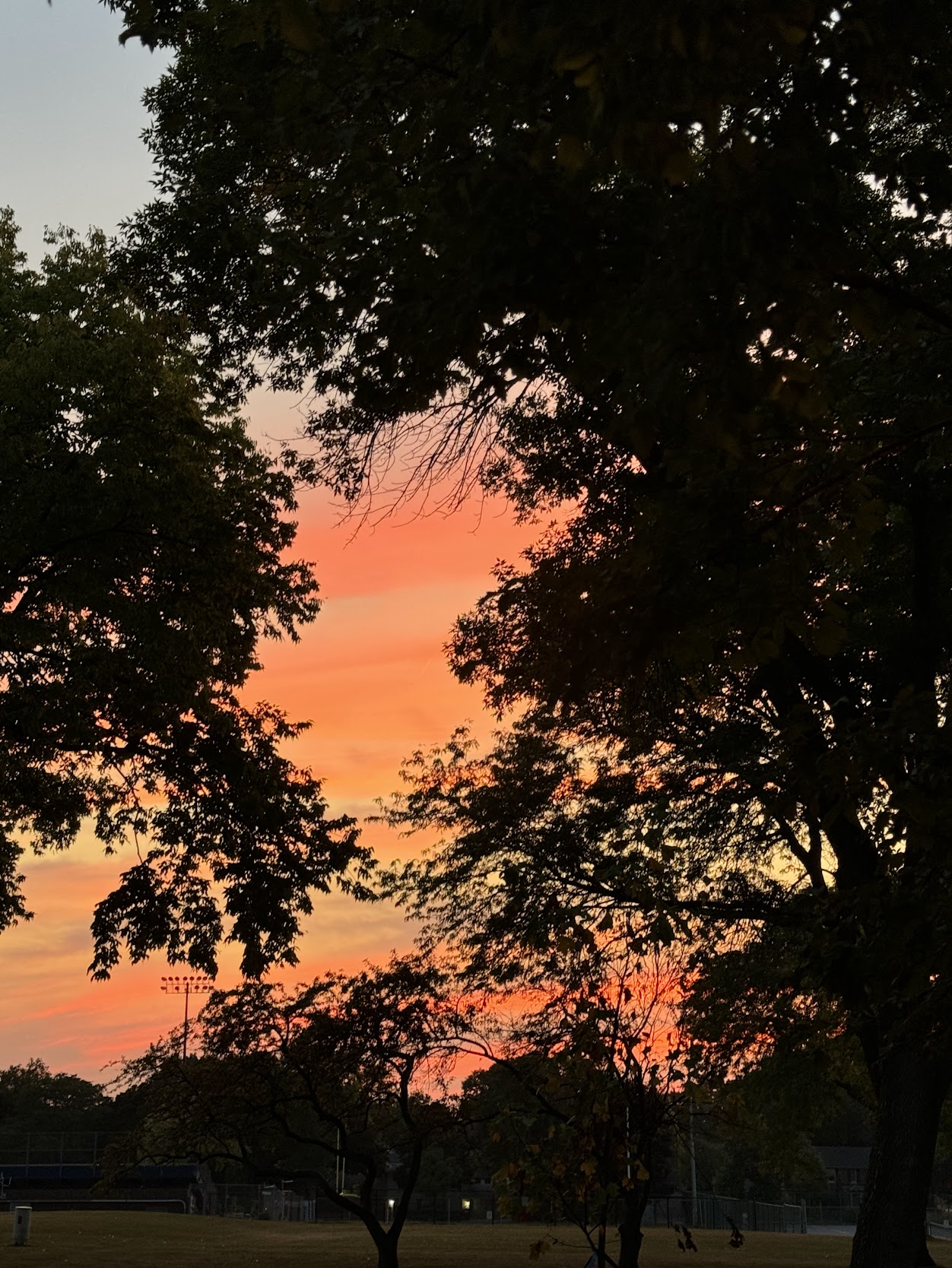 Stunning sunset over the mature trees of Armory Park in Whitefish Bay